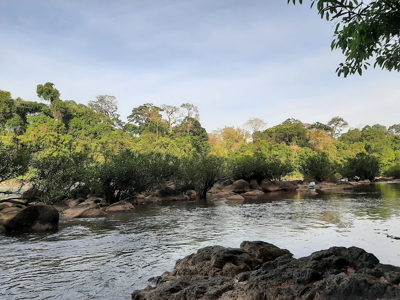 Nature's Haven: Cat Tien National Park - Cat Tien national park