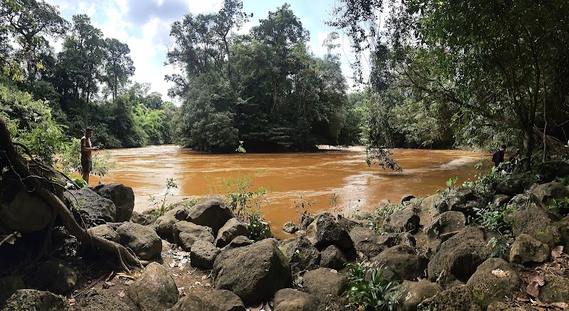 Nature's Haven: Cat Tien National Park - Cat Tien national park
