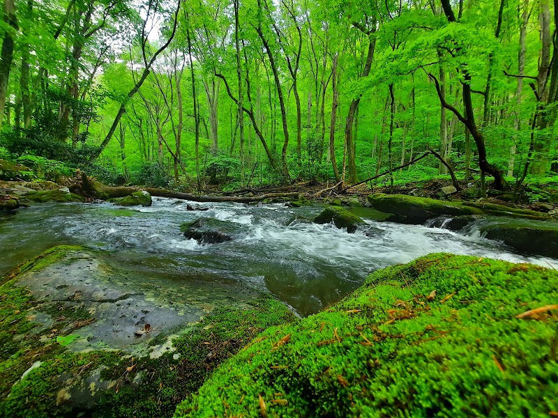 Majestic Waters: Cascade Falls in Pembroke - Cascade Falls Trailhead