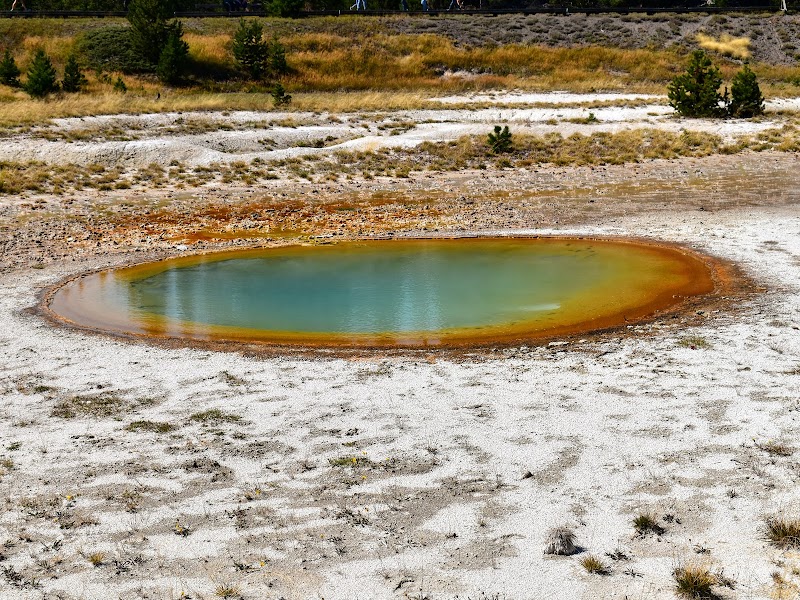 Geysers & Hot Springs at West Thumb surrounding landscape