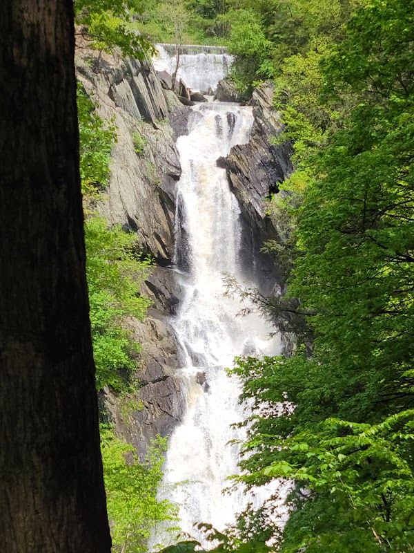 Waterfalls & Wonders at High Falls - High Falls