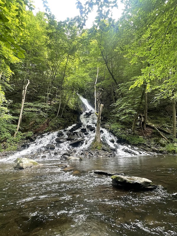 Waterfalls & Wonders at High Falls - High Falls
