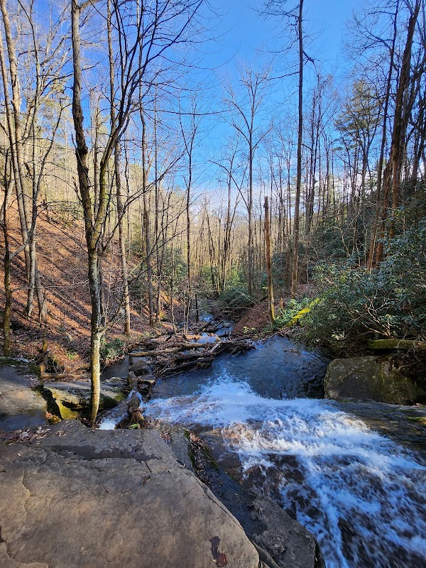Waterfall Escape: Raven Cliffs Trailhead, Cleveland, GA outdoor detail