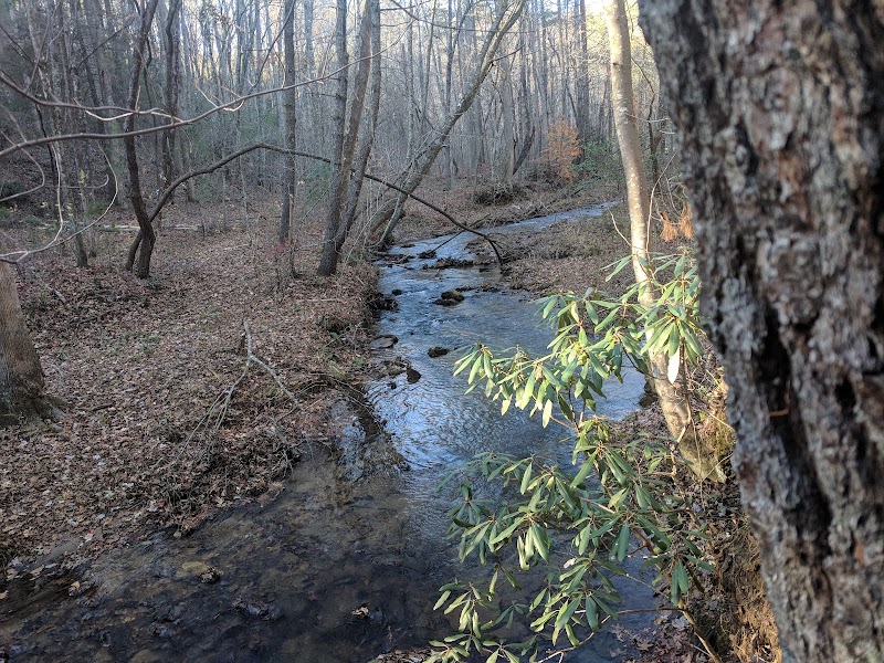 Lower Black Falls: A Hidden Gem in Dahlonega surrounding landscape