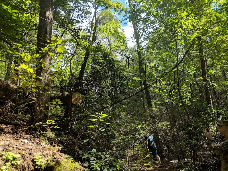 Lower Black Falls: A Hidden Gem in Dahlonega outdoor detail