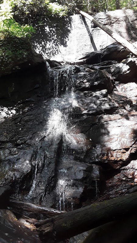Discover the Serenity of Lower Desoto Falls outdoor detail
