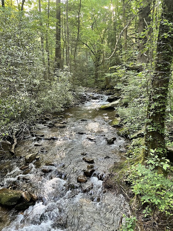 Discover the Serenity of Lower Desoto Falls - Lower Desoto Falls