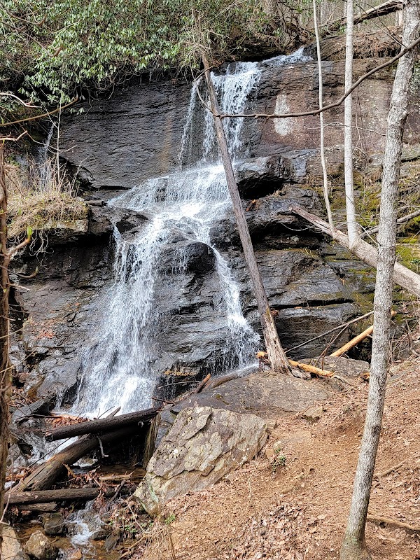 Discover the Serenity of Lower Desoto Falls - Lower Desoto Falls