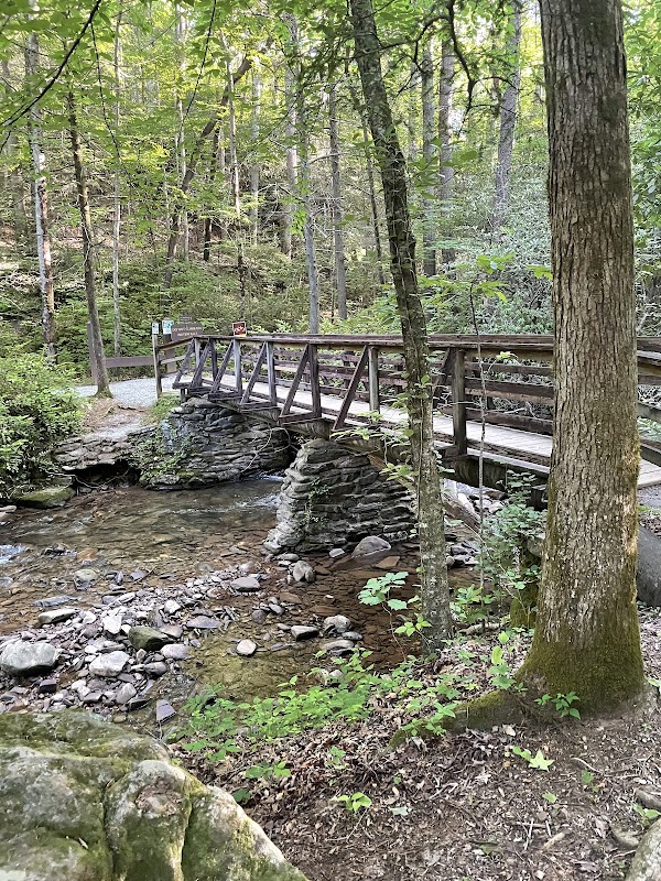 Discover the Serenity of Lower Desoto Falls surrounding landscape