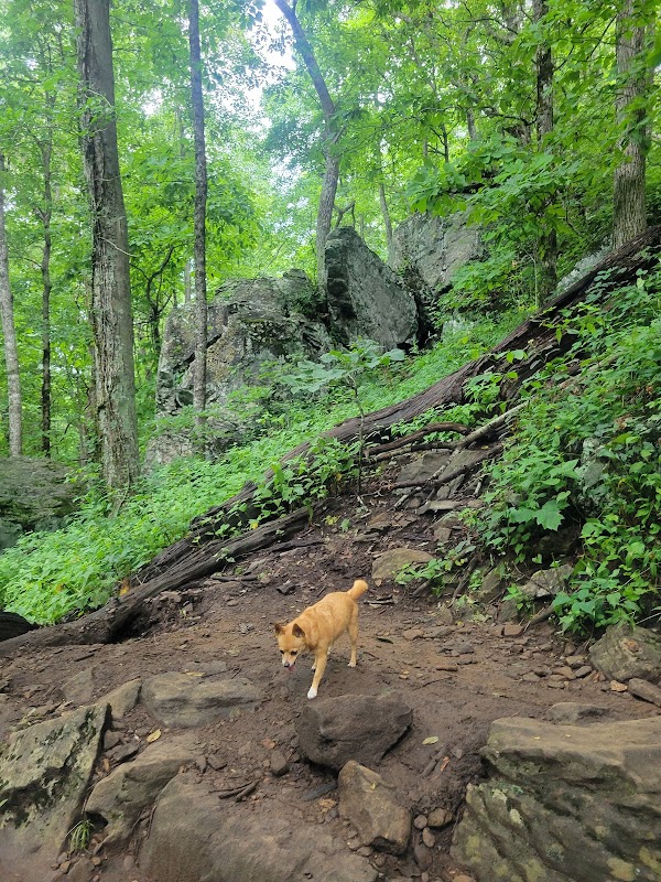 Hiking to Preacher's Rock: A Scenic Escape - Preacher's Rock