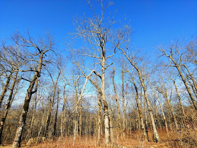 Hiking to Preacher's Rock: A Scenic Escape surrounding landscape