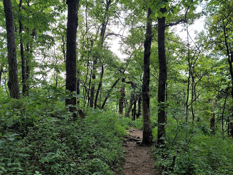 Hiking to Preacher's Rock: A Scenic Escape outdoor detail