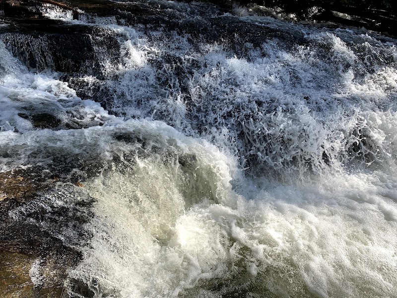 Discover the Natural Beauty of Jones Creek Falls outdoor detail