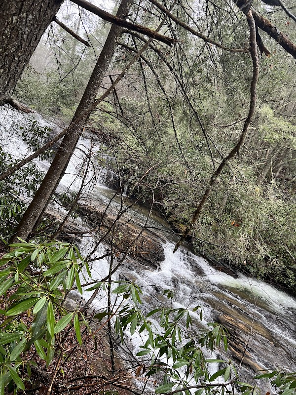 Discover the Natural Beauty of Jones Creek Falls surrounding landscape
