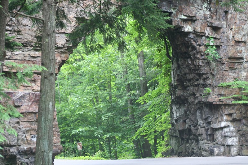 Scenic Beauty at Straight Branch Trailhead surrounding landscape