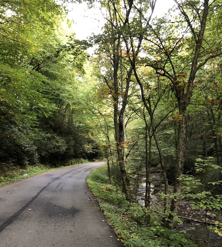 Scenic Beauty at Straight Branch Trailhead - Straight Branch Trailhead of Virginia Creeper National Recreation Trail
