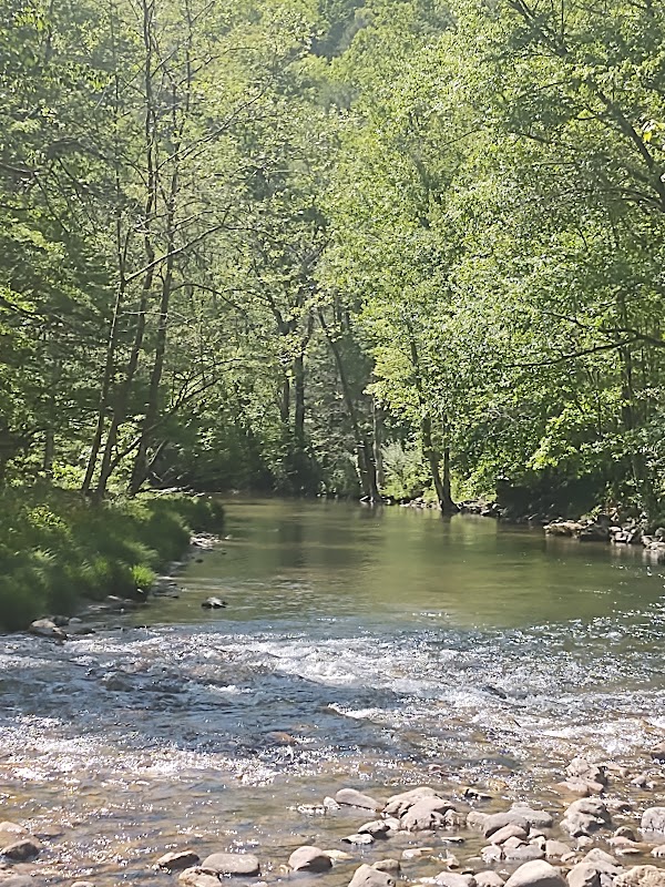 Scenic Beauty at Straight Branch Trailhead - Straight Branch Trailhead of Virginia Creeper National Recreation Trail