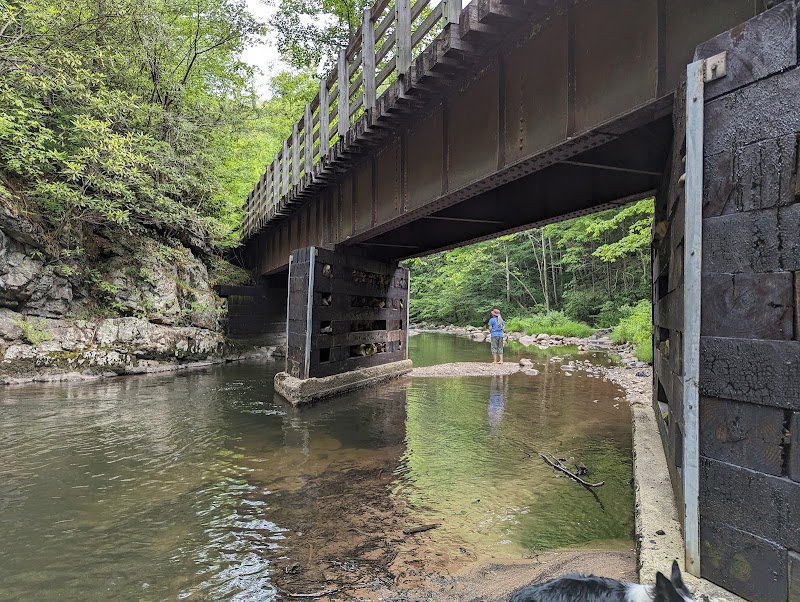 Scenic Beauty at Straight Branch Trailhead - Straight Branch Trailhead of Virginia Creeper National Recreation Trail