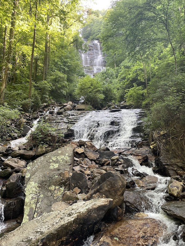 Discover the Majesty of Amicalola Falls surrounding landscape