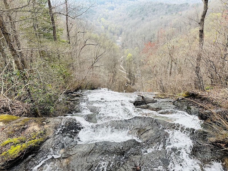 Discover the Majesty of Amicalola Falls outdoor detail