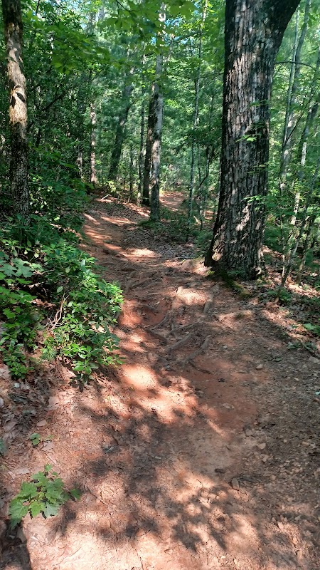 Jake Mountain Area of Chattahoochee National Forest adventures