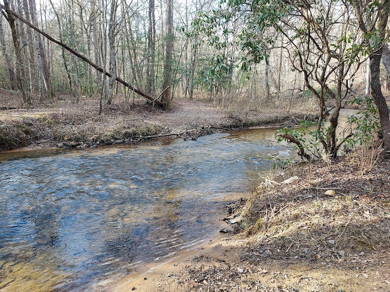 Nature's Tranquil Pathway - Jake Mountain, Dahlonega, GA outdoor detail