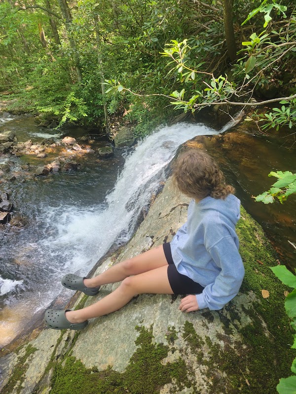 The Serenity of Estella Falls surrounding landscape