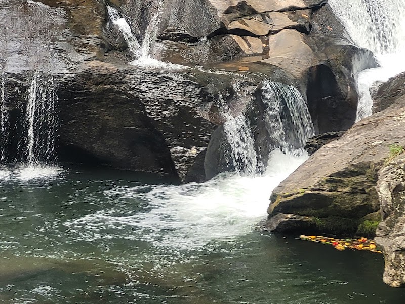 Discover Chestatee Wildlife Management Area surrounding landscape