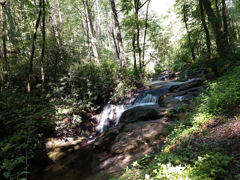 Discover Chestatee Wildlife Management Area outdoor detail