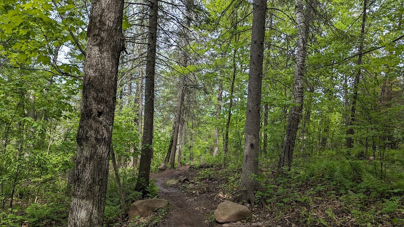 Discover the Natural Beauty of Hartley Nature Center - Hartley Nature Center TH, Superior Hiking Trail