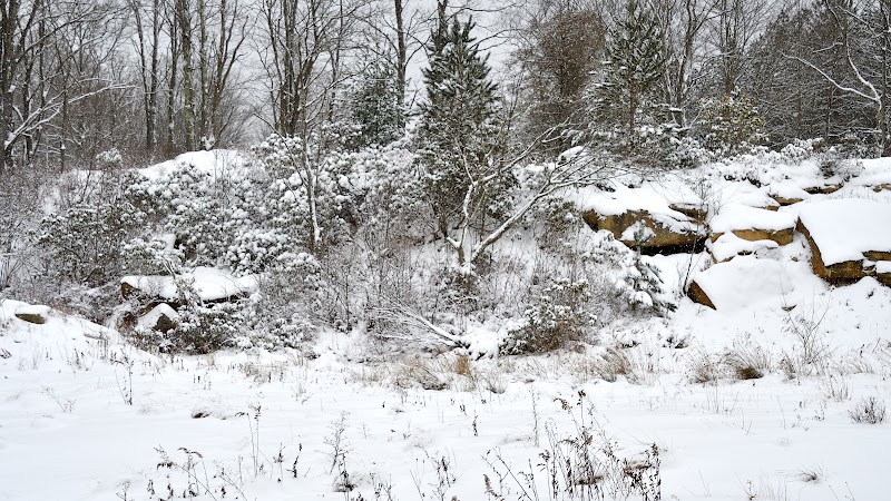 Wandering through the Winter Wilderness of Allegheny Trail surrounding landscape