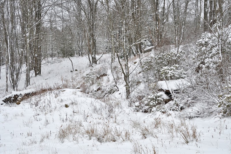 Wandering through the Winter Wilderness of Allegheny Trail outdoor detail