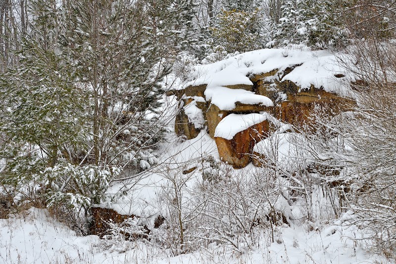 Wandering through the Winter Wilderness of Allegheny Trail - Allegheny Trail (Davis Trailhead)
