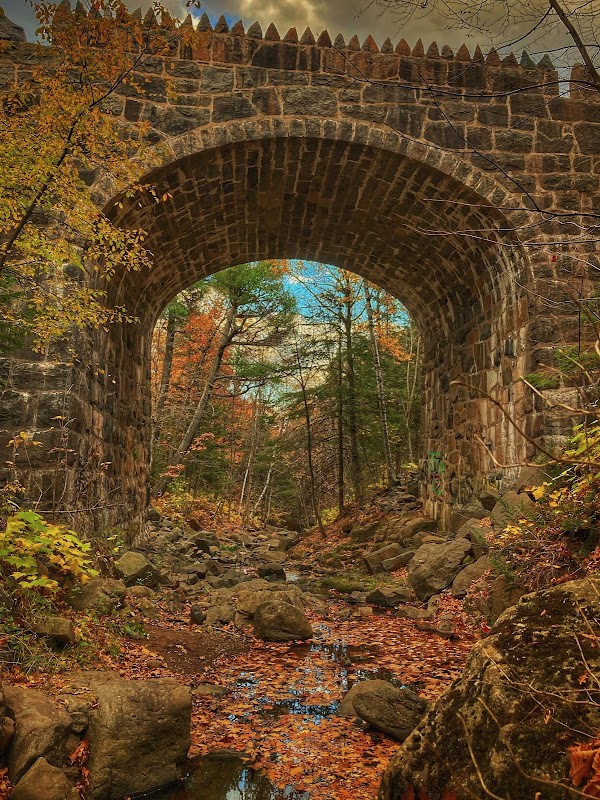 Nature's Haven: Magney-Snively Natural Area - Magney-Snively Natural Area