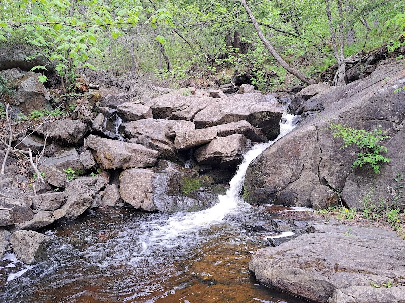 Nature's Haven: Magney-Snively Natural Area outdoor detail