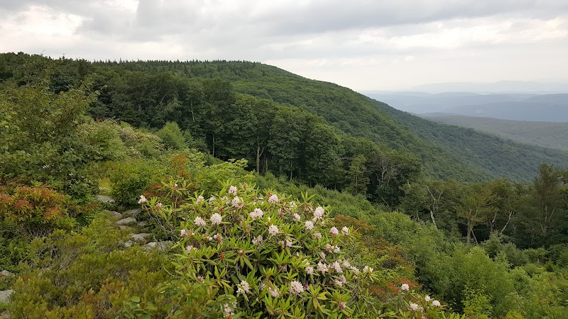 Discover the Tranquil Beauty of Blackbird Knob Trailhead - Blackbird Knob Trailhead