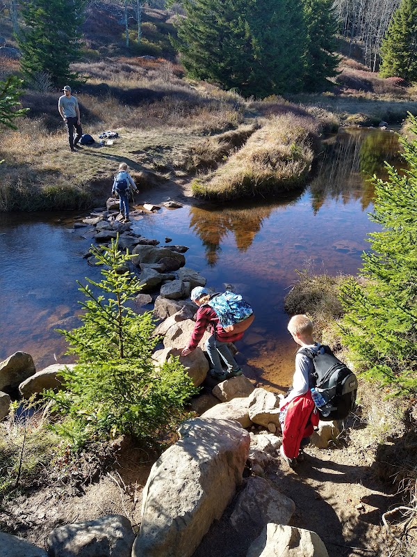 Discover the Tranquil Beauty of Blackbird Knob Trailhead - Blackbird Knob Trailhead