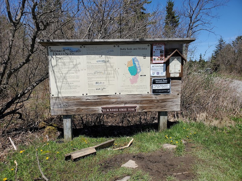 Discover the Tranquil Beauty of Blackbird Knob Trailhead outdoor detail