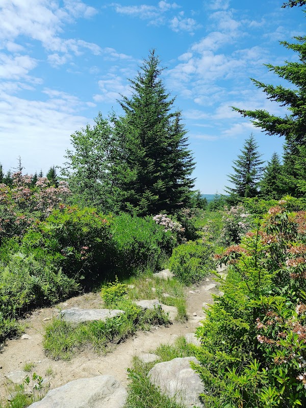 Discover the Tranquil Beauty of Blackbird Knob Trailhead - Blackbird Knob Trailhead