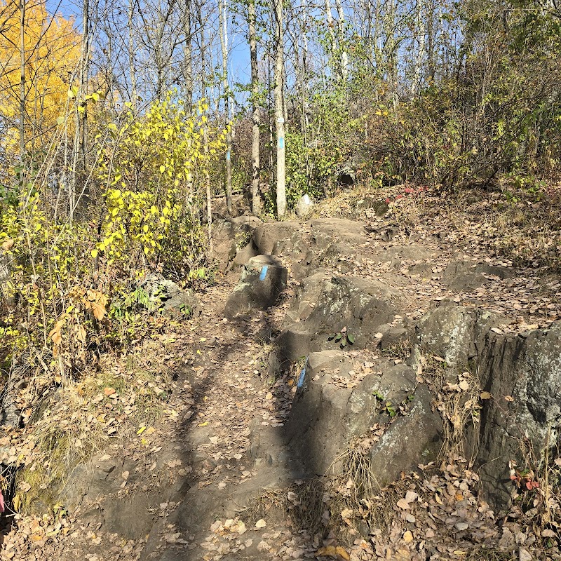 Hiking Adventures on the Munger Trail Trailhead - Munger Trail Trailhead