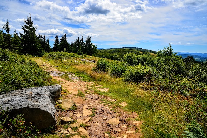 A Scenic Escape: Valley View Trail outdoor detail
