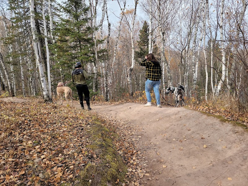 Discover Lester Park Trails & Playground surrounding landscape