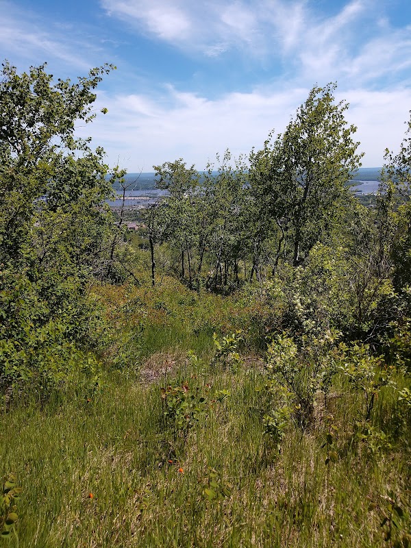 Nature's Vista: Brewer Park in Duluth outdoor detail