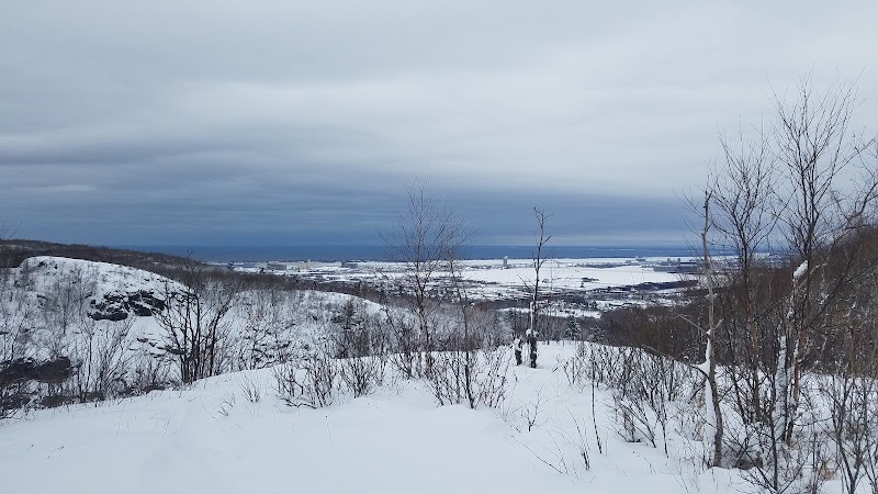 Nature's Vista: Brewer Park in Duluth - Brewer Park