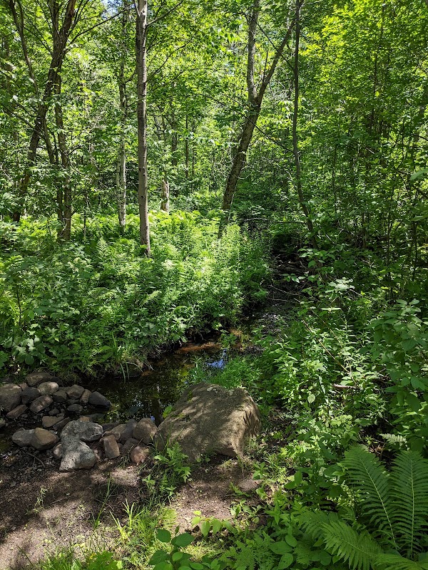 Discover Piedmont Trailhead: Duluth's Natural Escape - Piedmont Trailhead