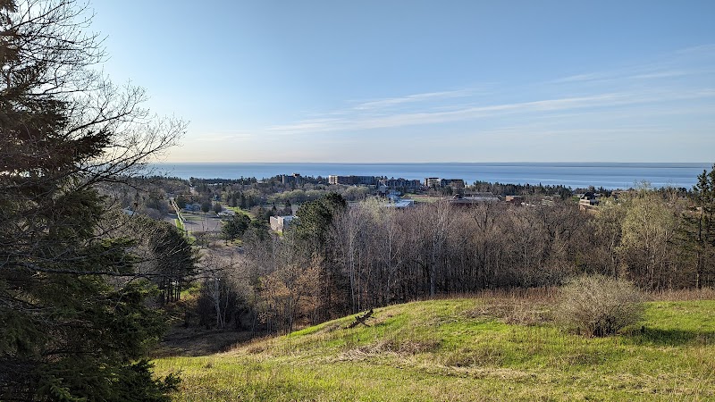 Nature's Haven: W.R. Bagley Nature Area surrounding landscape