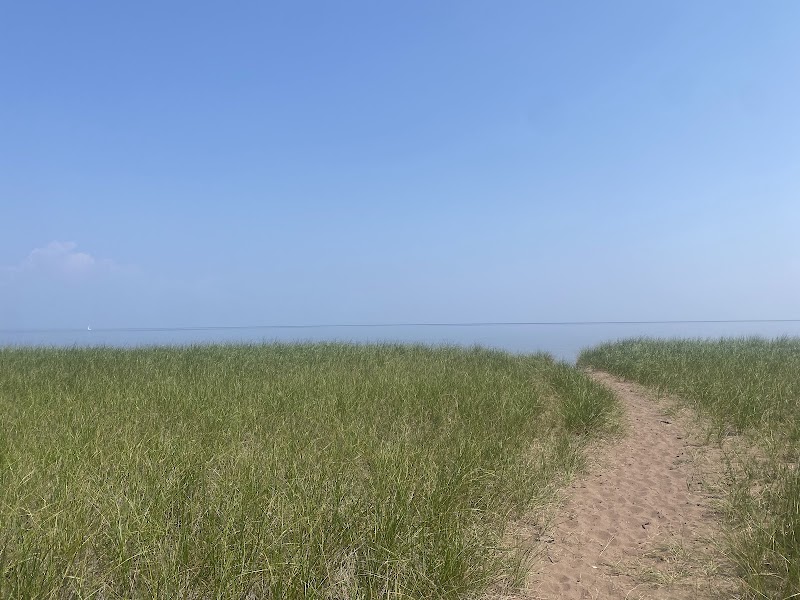 Discover the Tranquil Shores of Minnesota Point Pine Forest SNA surrounding landscape