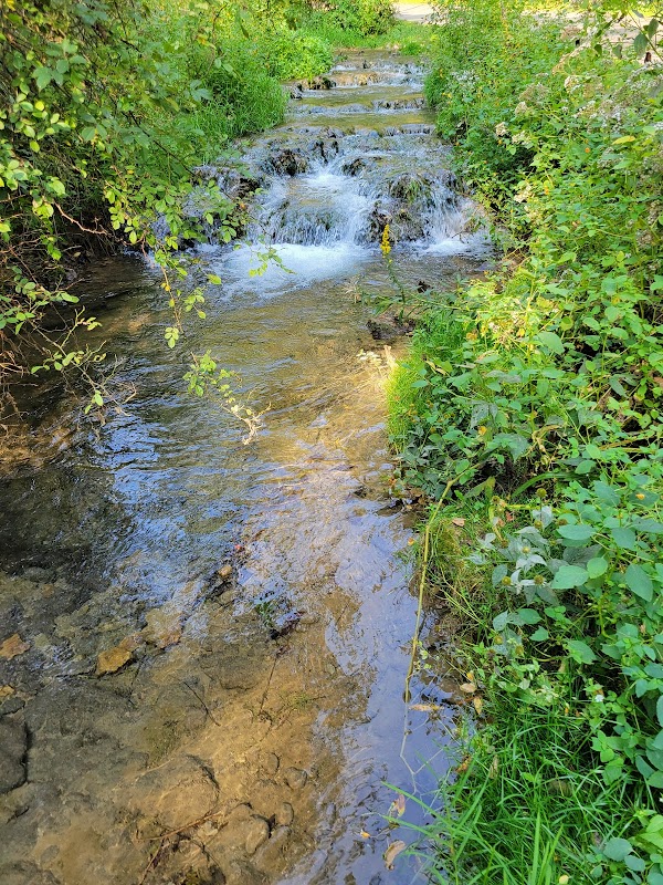 Nature's Sculpture: River Trail Trail Head in Decorah surrounding landscape