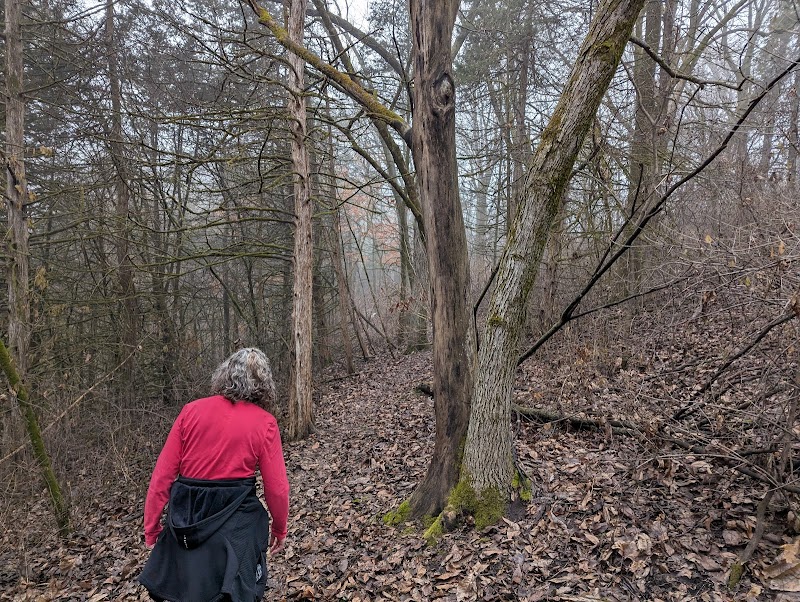 Trekking Through Barbara Barnhart Van Peenen Memorial Park - Barbara Barnhart Van Peenen Memorial Park
