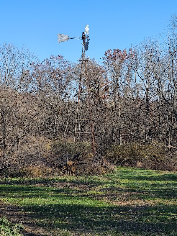 Wind-Powered Wonders: Exploring Carlson Park - Carlson Park